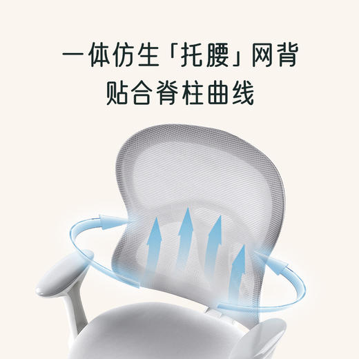 2平米学习椅启源椅启航椅博睿椅合集 商品图2