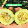 马连庄甜瓜礼盒4斤装【分仓直发，72小时发货，周末节假日不发货】 商品缩略图8