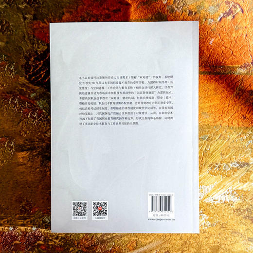 对接科技发展和劳动力市场需求 英国职业技术教育变革研究 商品图2