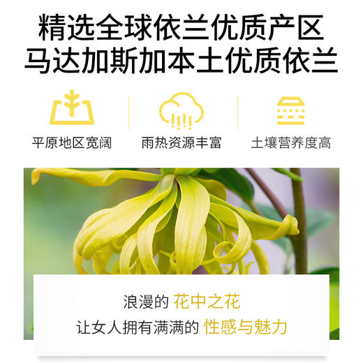 依兰精油单方精油 10ml 商品图3