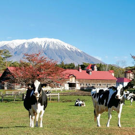 日本 | 乡野日子·东北部7天6晚