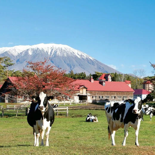 日本 | 乡野日子·东北部7天6晚 商品图0