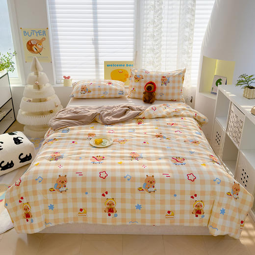 A类邹邹纱印花春夏被子有氧水洗双层纱面料柔软亲肤婴儿也适合越洗越软 商品图3