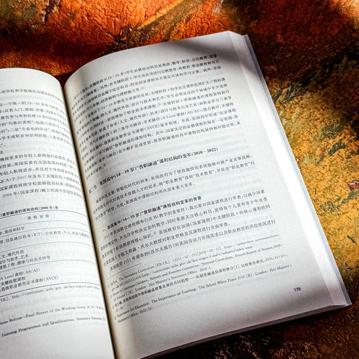 对接科技发展和劳动力市场需求 英国职业技术教育变革研究 商品图11