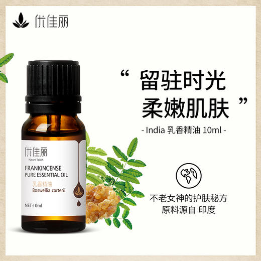 乳香精油单方精油 10ml 商品图0