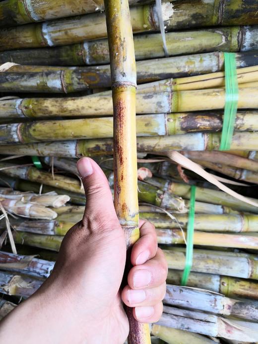 臻和 多晶体冰糖手工老冰糖 *基地直发 商品图3