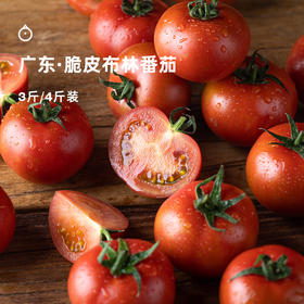 企鹅市集|广东 脆皮布林番茄 家庭装/礼盒装可选 皮脆紧实 爽脆酸甜 浓郁番茄味