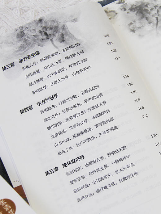 《中国古代文人传记》全10册 杜甫传、王维传、白居易传等 传承千年的文化精髓 做一个满腹经纶的人 商品图4