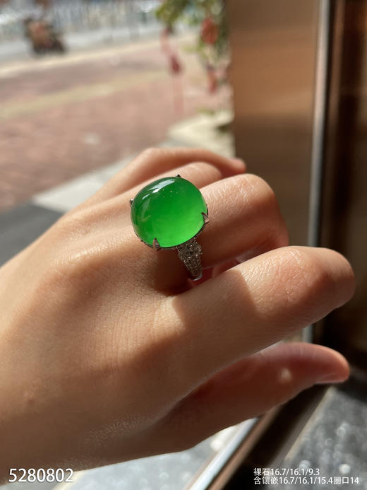 玻璃种艳绿蛋面戒指【5280802】具体价格微信咨询 商品图5