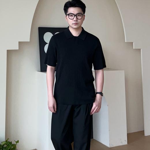 【男装】【商场同款】麦檬春秋POLO9F2200292 商品图1