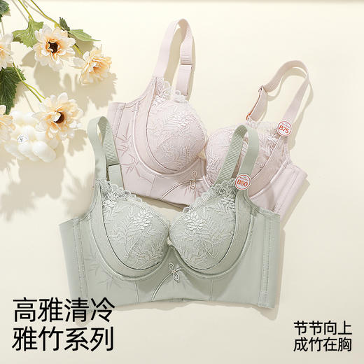 【商场同款】熳洁儿 调整型小胸聚拢文胸中厚杯新中式雅竹系列云感棉收副乳25201313 商品图2
