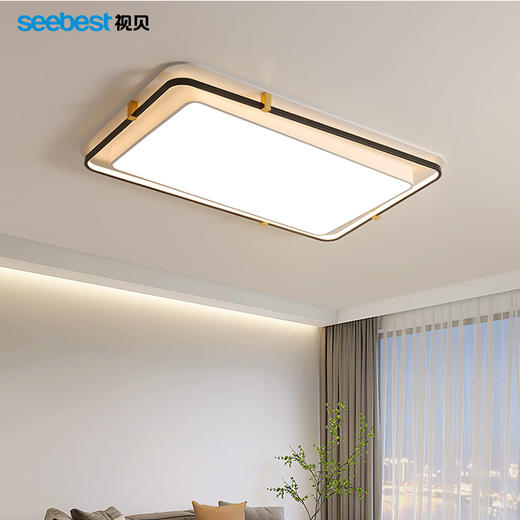 墨影系列卧室灯(智能离线语音控制)（长方停产） 商品图1