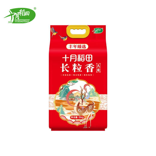 【自营】 十月稻田 丰年臻选东北黑土地长粒香米 5kg 商品图0
