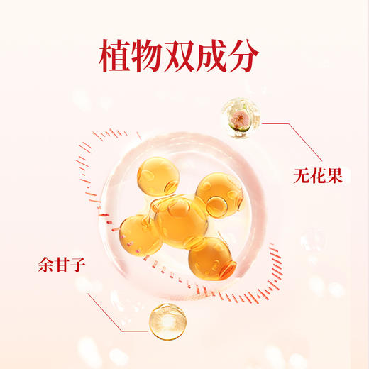 【果壳专属福利】奇美研新品净燃塑益生菌小金条+膳食纤维小绿条即食固体饮料食品【适合3+】 商品图7