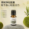 茶树精油单方精油 10ml 商品缩略图3