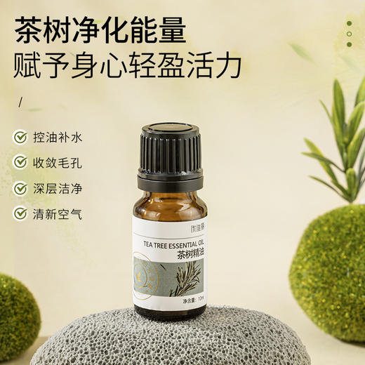 茶树精油单方精油 10ml 商品图3