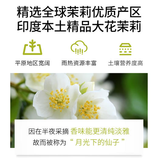 纯茉莉精油单方精油 3ml/5ml/10ml 商品图1