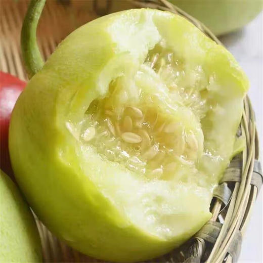 马连庄甜瓜礼盒4斤装【分仓直发，72小时发货，周末节假日不发货】 商品图2