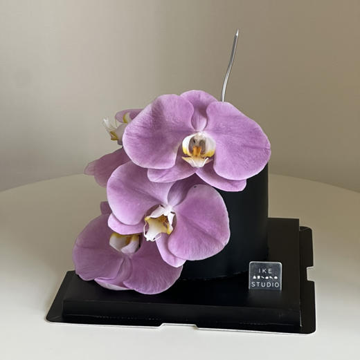 蝴蝶兰G 商品图0