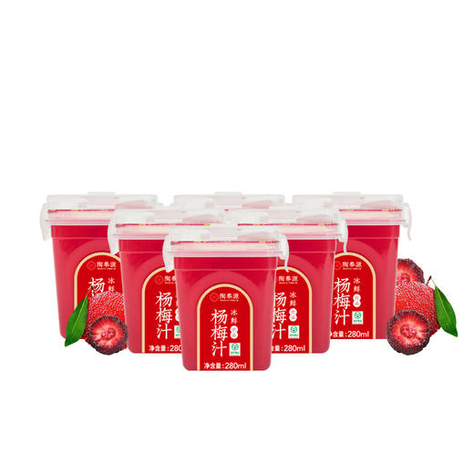 【酸甜开怀】 杨梅果丹球 & 陶奉源的冰鲜杨梅汁 商品图1