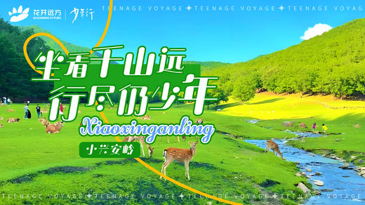 坐看千山远，行尽仍少年——小兴安岭 商品图0