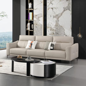 中派-沙发-LS-P3018