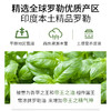 罗勒精油单方精油 10ml 商品缩略图2