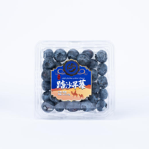 【尝鲜#新疆直发】踏沙寻莓   新疆喀什蓝莓   顺丰空运   下单后3-5天发货 商品图7