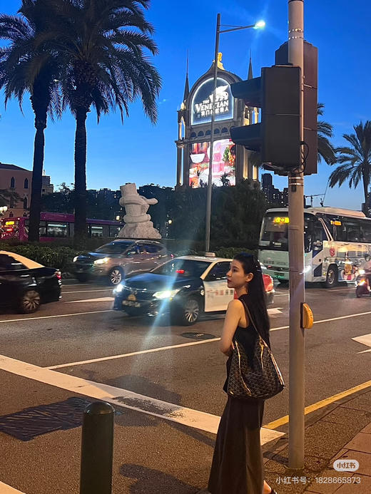 戈雅Hobo 黑色（原厂皮） 商品图1