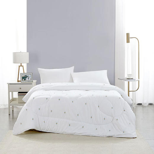 【分仓直发包邮】罗莱防螨抗菌春秋被200*230cm 商品图0