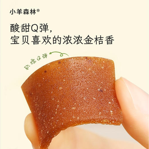 「金桔雪梨果肉片」鲜果打浆 细腻软糯 酸甜金桔香 一片90%果汁含量 商品图3