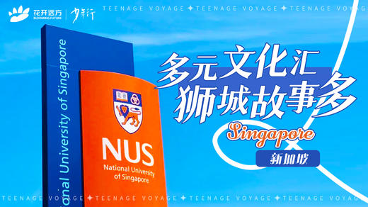 多元文化汇，狮城故事多——新加坡 商品图0