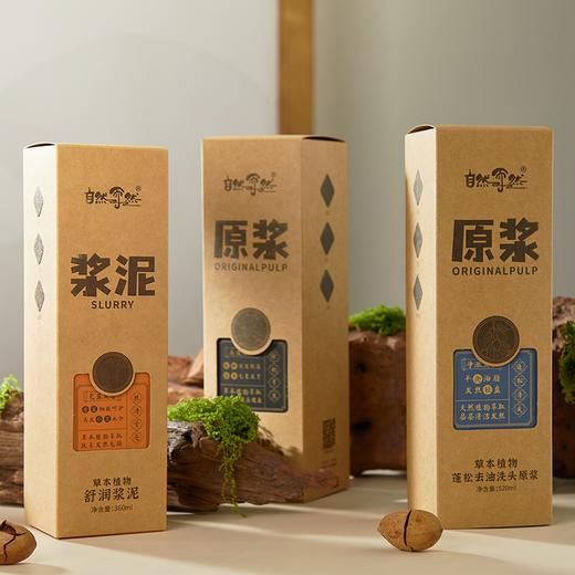 自然而然草本系列草本原浆/浆泥 | 润护、蓬松、去屑清爽洗头 商品图3