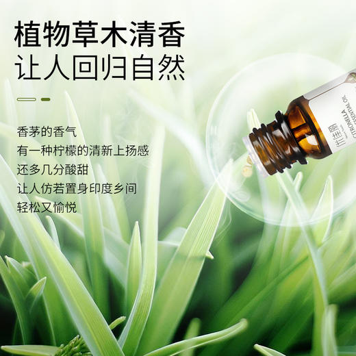 香茅精油单方精油 10ml 商品图3