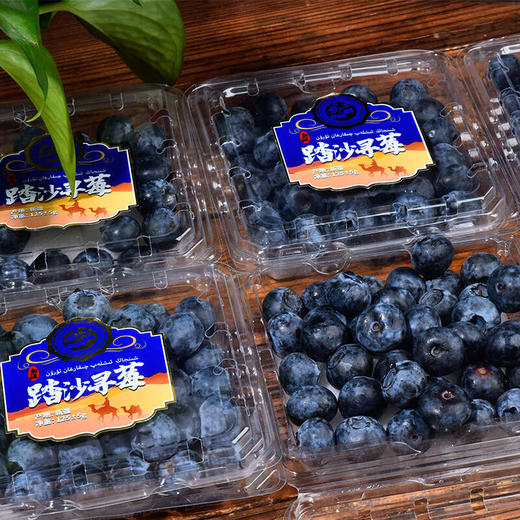 【尝鲜#新疆直发】踏沙寻莓   新疆喀什蓝莓   顺丰空运   下单后3-5天发货 商品图4