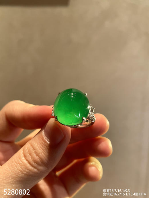 玻璃种艳绿蛋面戒指【5280802】具体价格微信咨询 商品图1