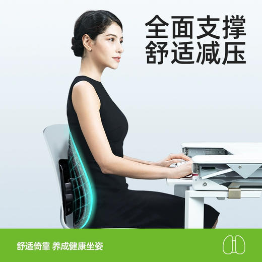 【lite版】米乔人体工学腰垫办公室、车用腰靠腰垫腰托，米乔腰垫 商品图2