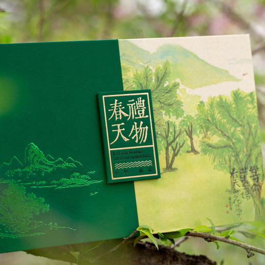 春天礼物【通版 双罐 深绿】35元一套/一件14套 商品图6