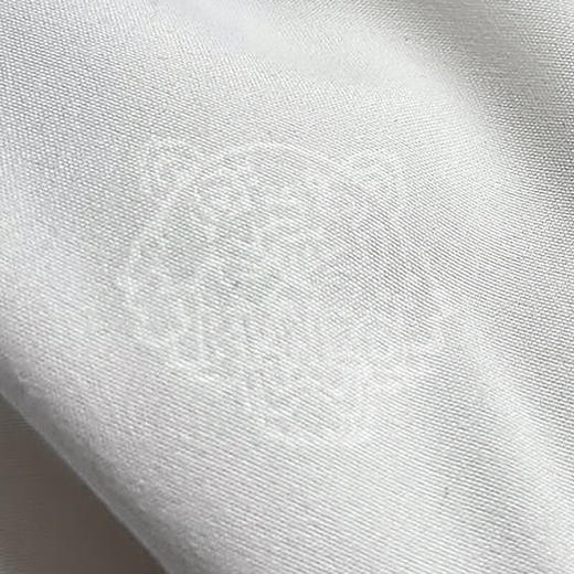 【分仓直发包邮】KENZO虎头压花蚕丝被KCS-001 商品图4