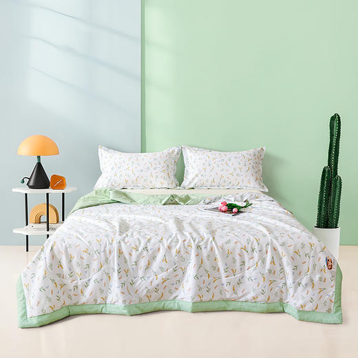 【多样屋专柜】雅鹿抑菌全棉印花夏被--米漾/200*230CM 商品图4