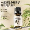 尤加利精油单方精油 10ml 商品缩略图4