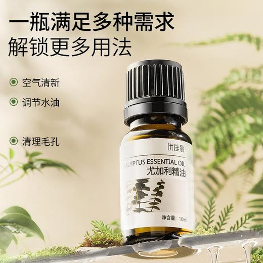 尤加利精油单方精油 10ml 商品图4
