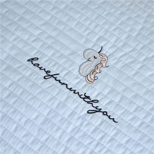 自然醒A类水洗全棉儿童棉花枕荞麦枕儿童枕套一对装轻奢枕头套全棉家用单个30x50枕头芯内胆XK 商品图13