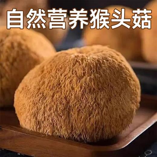 硕果田间猴头菇山药豆浆粉175g*4盒 商品图6