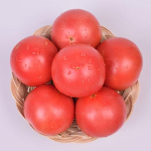 【甄选】山东海阳普罗旺斯西红柿当季鲜品酸甜软糯正宗沙瓤4.5-5斤礼盒装 商品图3