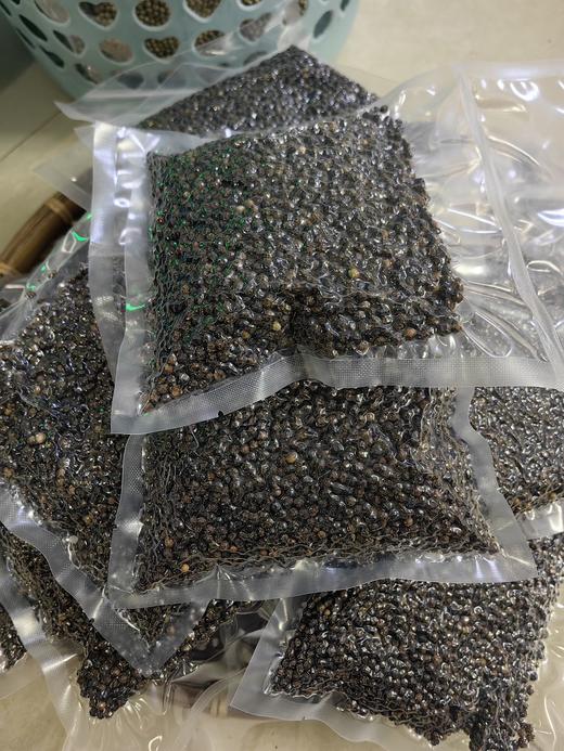 「适配五行蔬菜汤」新鲜海南白胡椒/黑胡椒 2斤送研磨瓶 商品图6