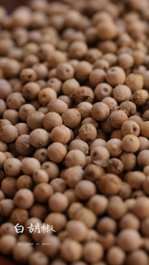 「适配五行蔬菜汤」新鲜海南白胡椒/黑胡椒 2斤送研磨瓶 商品图1