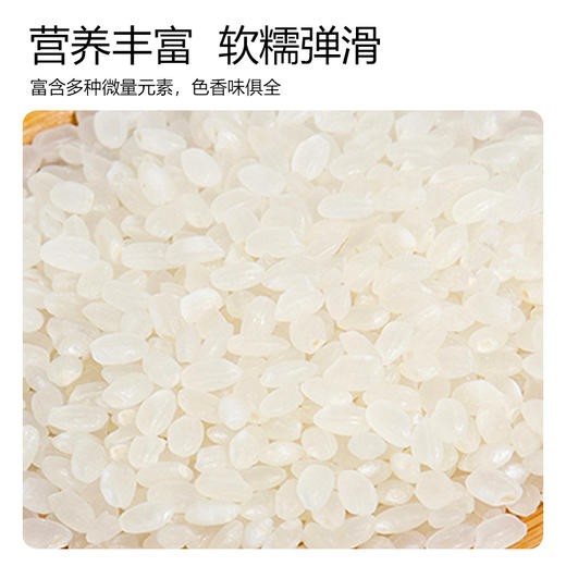 【自营】今粮道 农家米大米蟹田米 5KG 商品图7