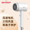 夏普 等离子吹风机 IB-RC46C-H 商品缩略图0