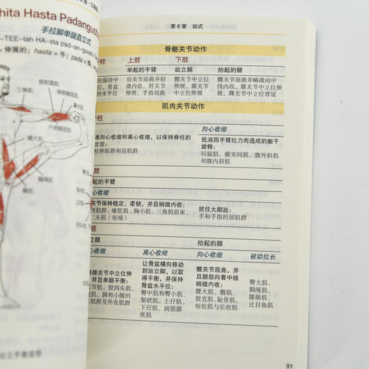 瑜伽解剖学 口袋版 瑜伽书籍 艾扬格瑜伽 艾扬格阿斯汤哈达瑜伽书 商品图1